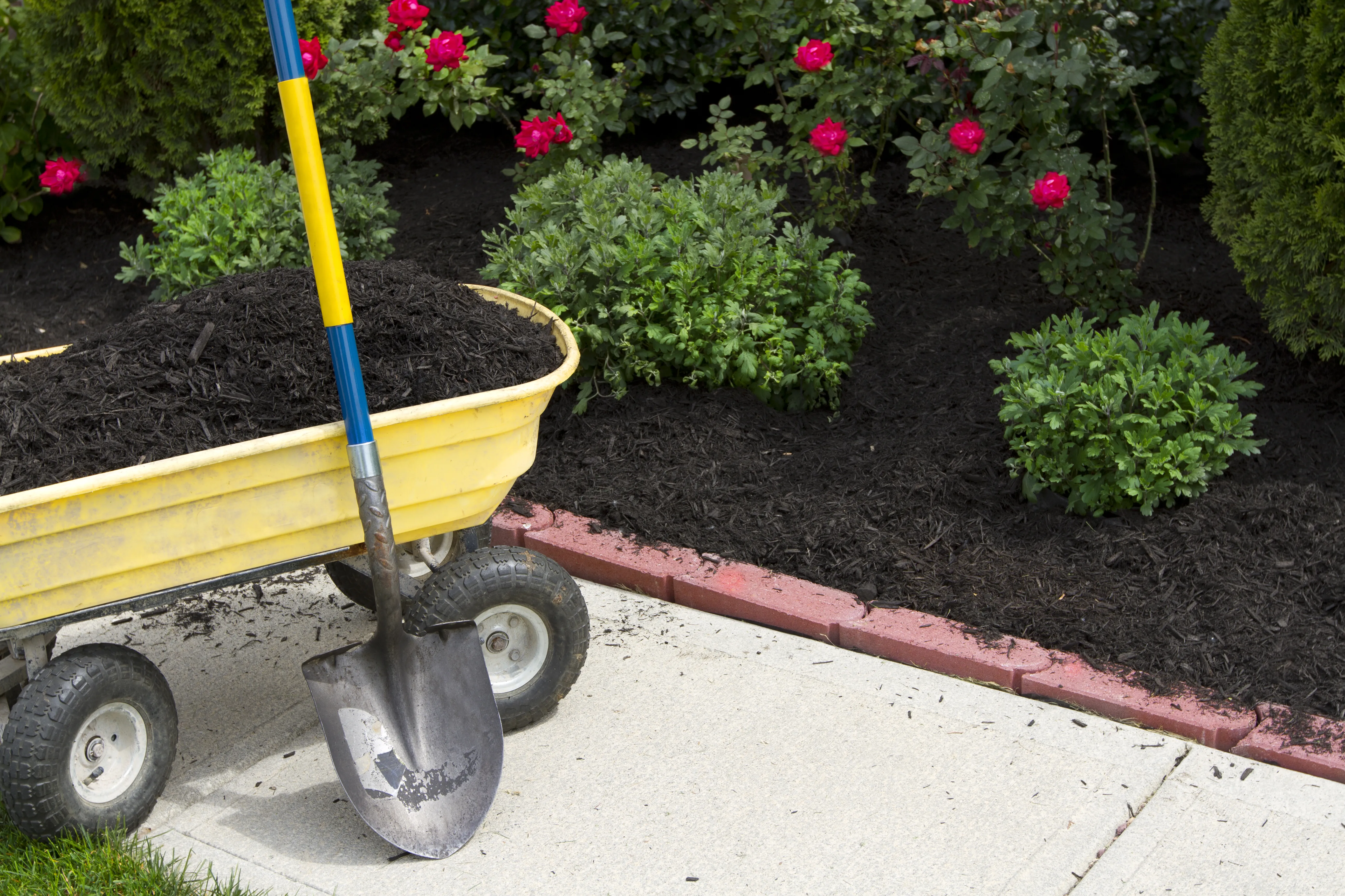 Professional Mulch Installation Services